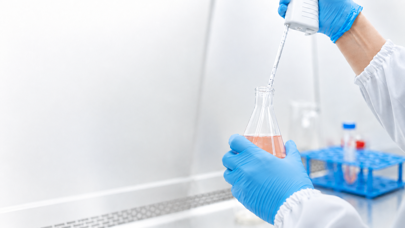 Scientist preparing cell culture media in a laboratory